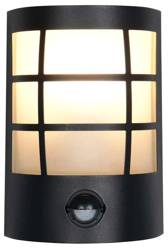 Fali kültéri lámpa (magasság 20 cm) Sintra – Trio