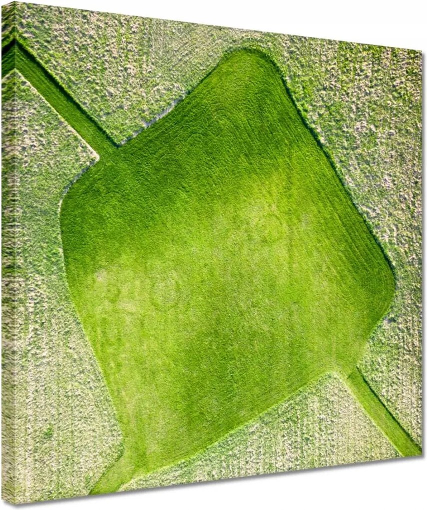 Vászonkép 30x30 Fű mező rét út