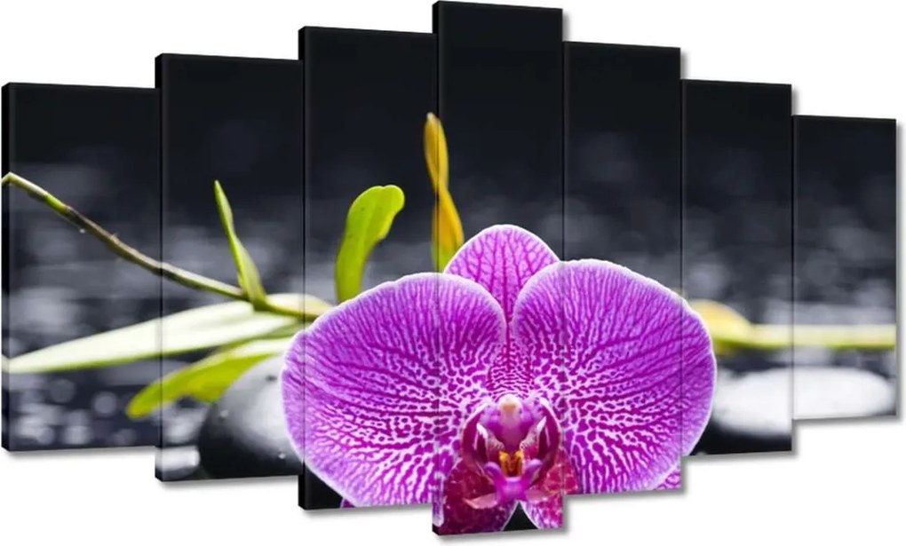 Vászonkép 140x80 Lila orchidea