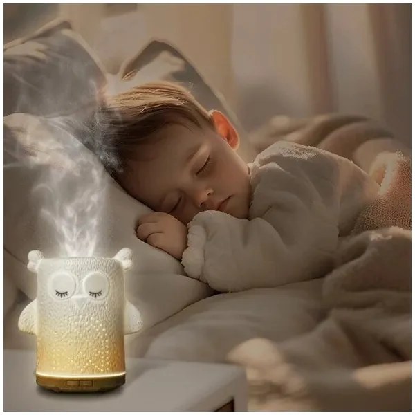 LED RGBW Aroma diffúzor LED/8W/230V 100 ml bagoly