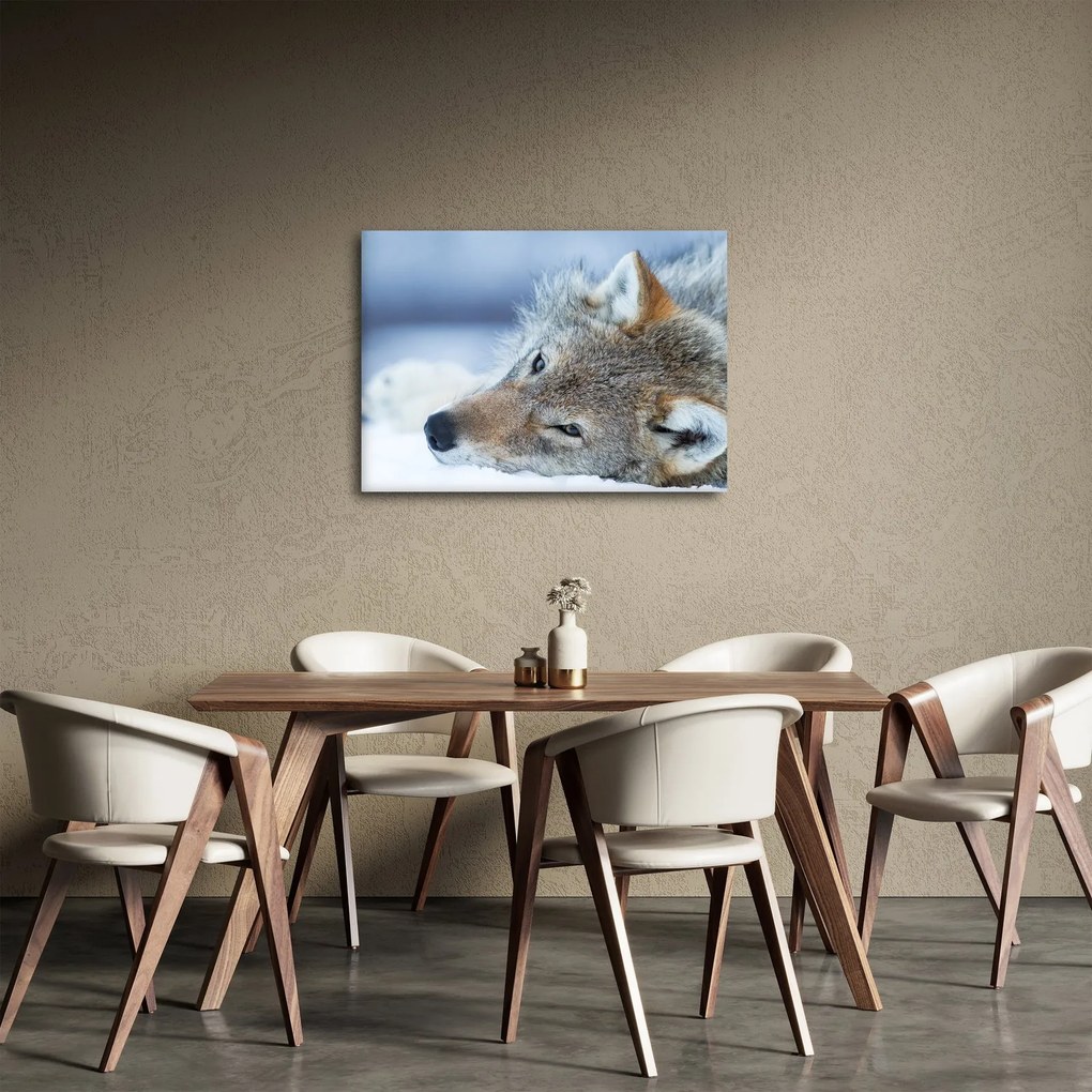 Kép - Farkas (70x50 cm)