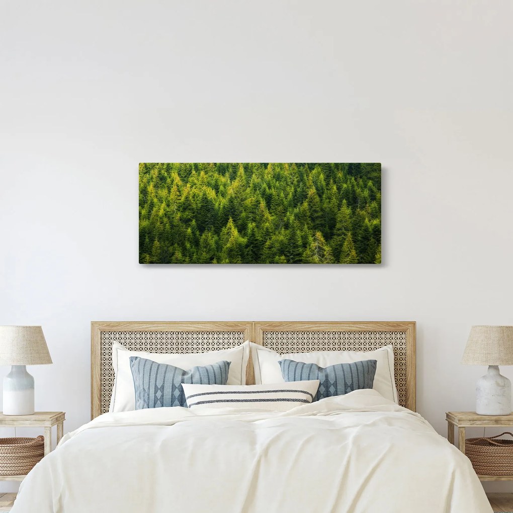 Kép - sűrű erdő (120x50 cm)
