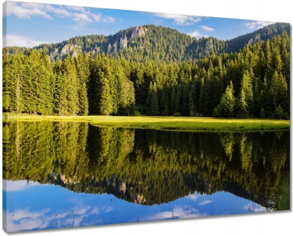 Vászonkép 70x50 Hegyi táj gyönyörű felhőkkel Fák a hegyekben