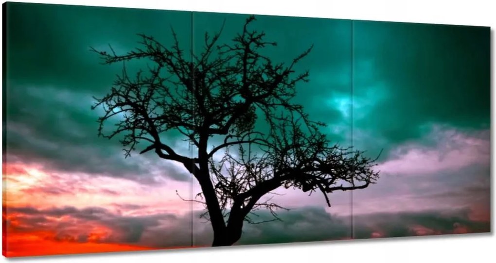 Képek 180x90 Naplemente a sivatagban