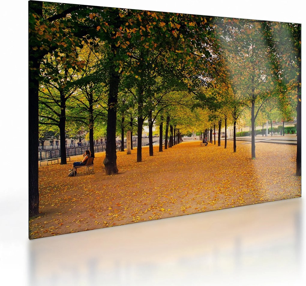 Egy kép az őszi fák sikátorából (üvegen) (70x50 cm)