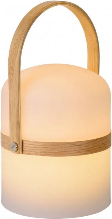 LUCIDE 06800-03-31 JOE Kültéri Dekorációs Lámpa LED IP44