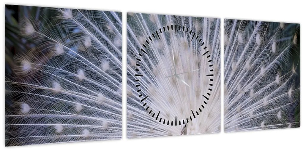 Kép - Fehér páva (órával) (90x30 cm)