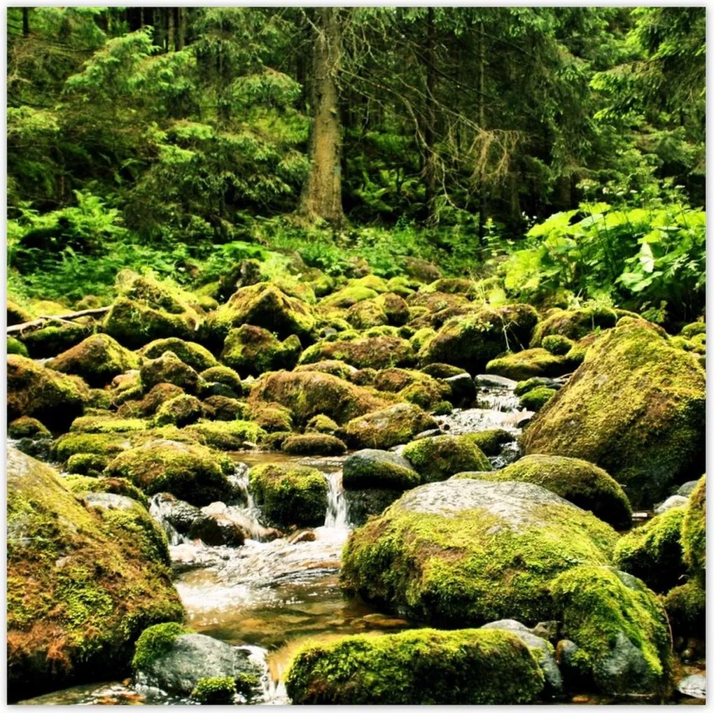 Poszterek 70x70 Tátra Lengyel hegyek Kilátás