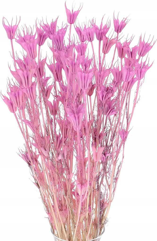 Szárított fekete keleti lila Nigella szárított virág csokor