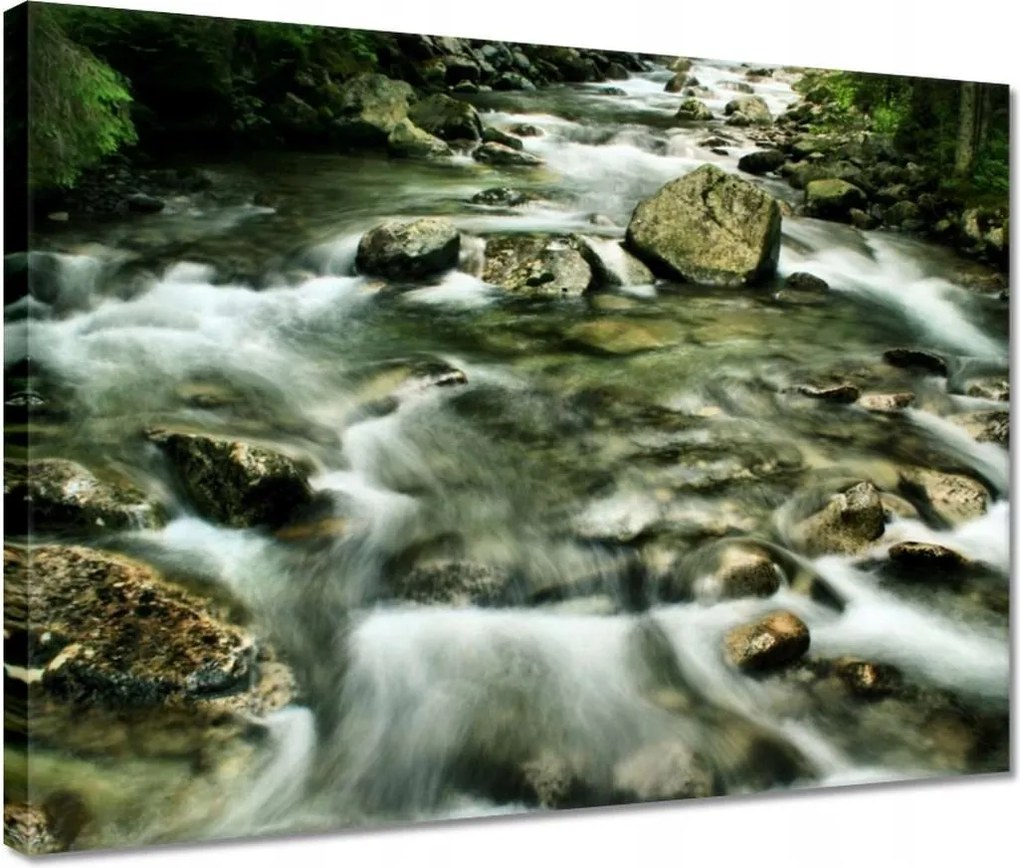 Vászonkép 40x30 Folyó a Tátrában