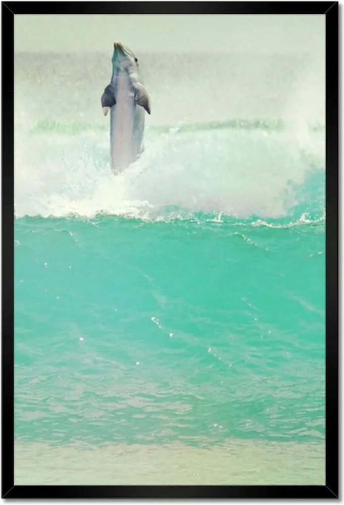 Poszterek keretben 40x60 Szimpatikus delfin óceán