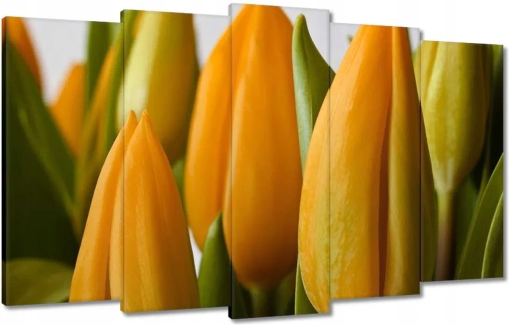 Vászonkép 100x60 Sárga tulipánok