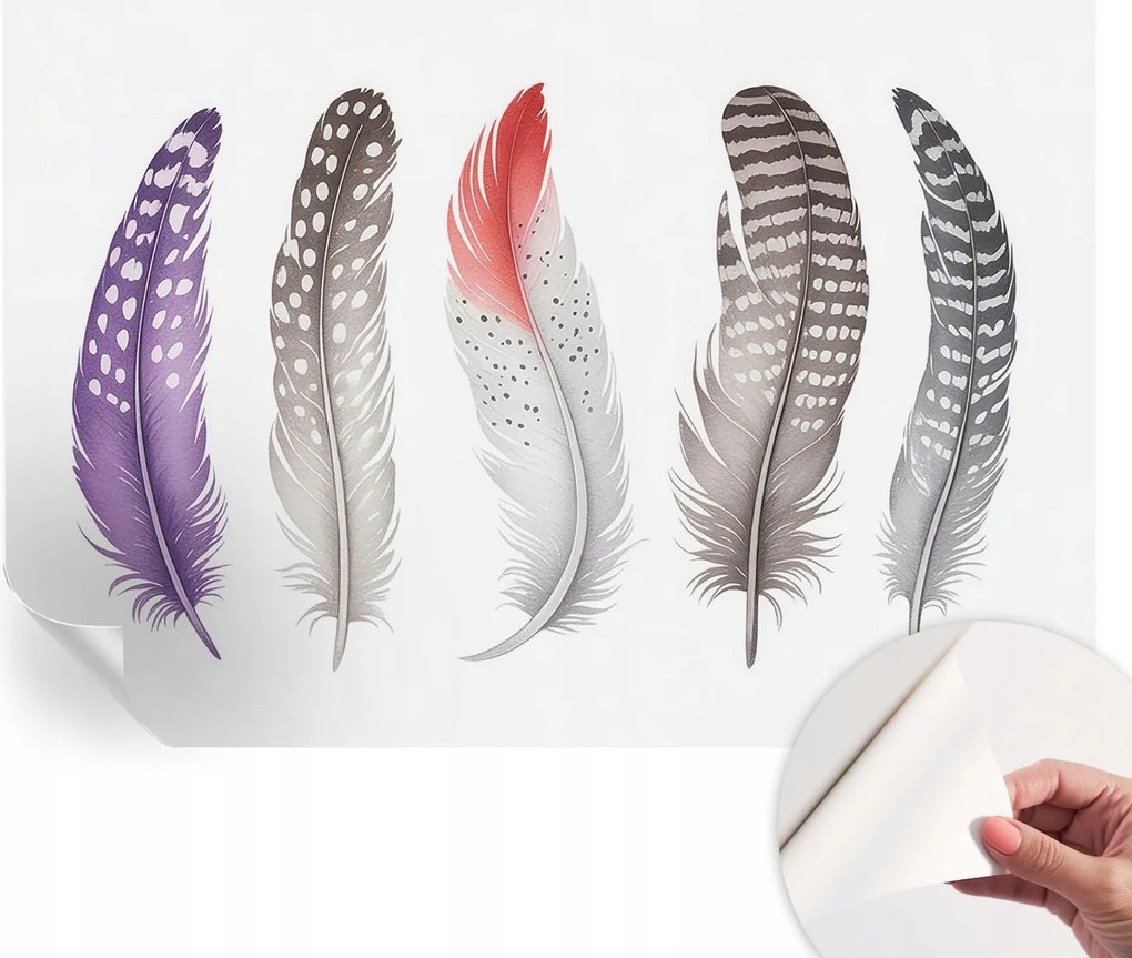 Öntapadós Fali Fotótapéta Hálószobába Mintás tollak 152x104 cm