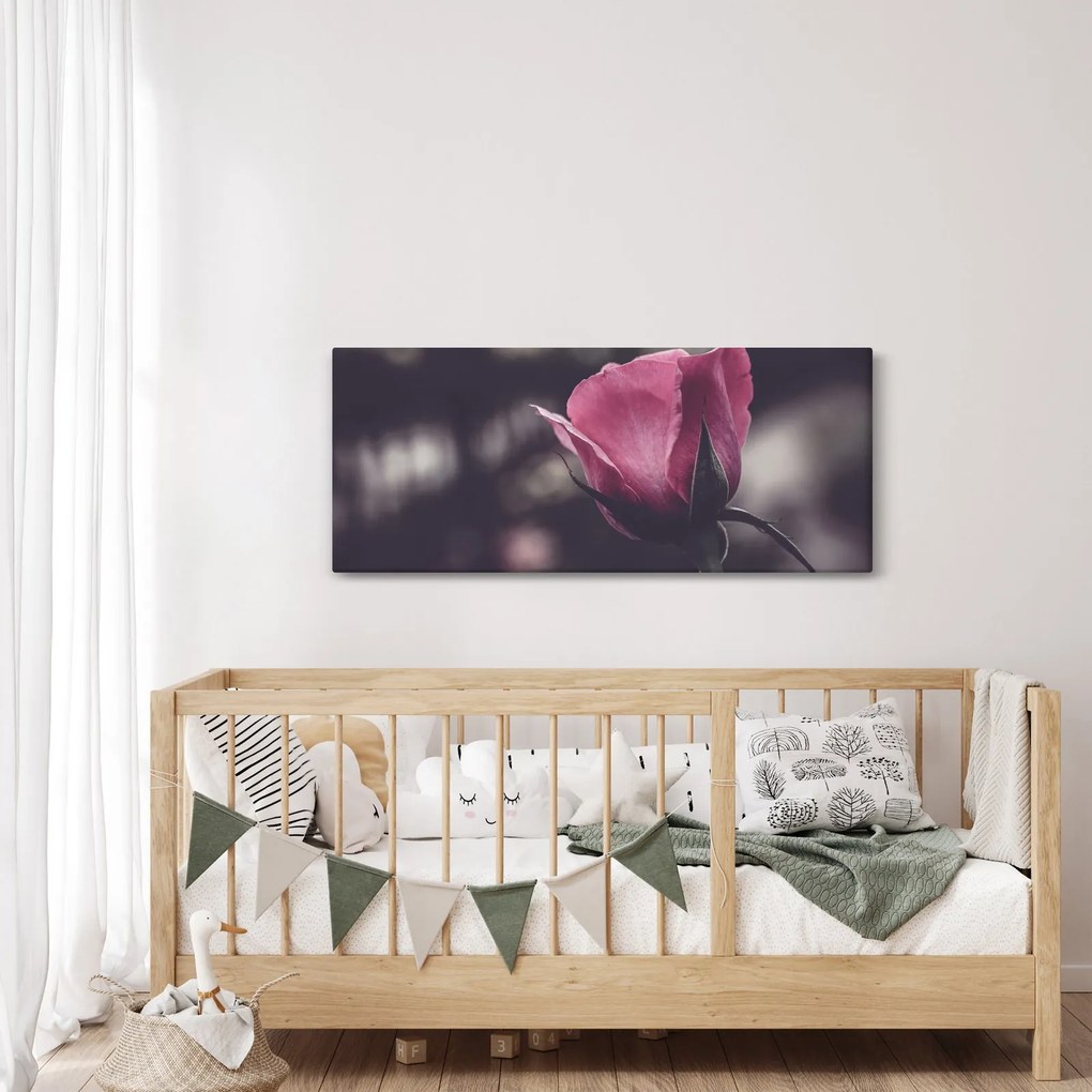 Kép - Rózsa virág részlete (120x50 cm)