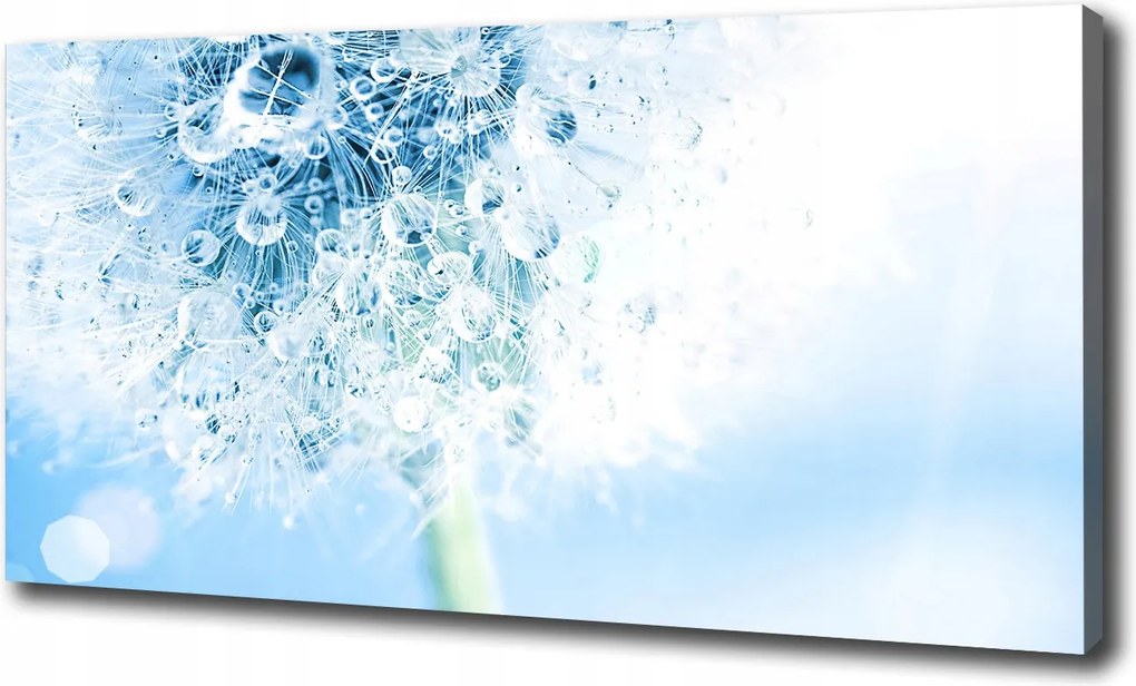 Canvas falikép Pitypang 120x60 cm