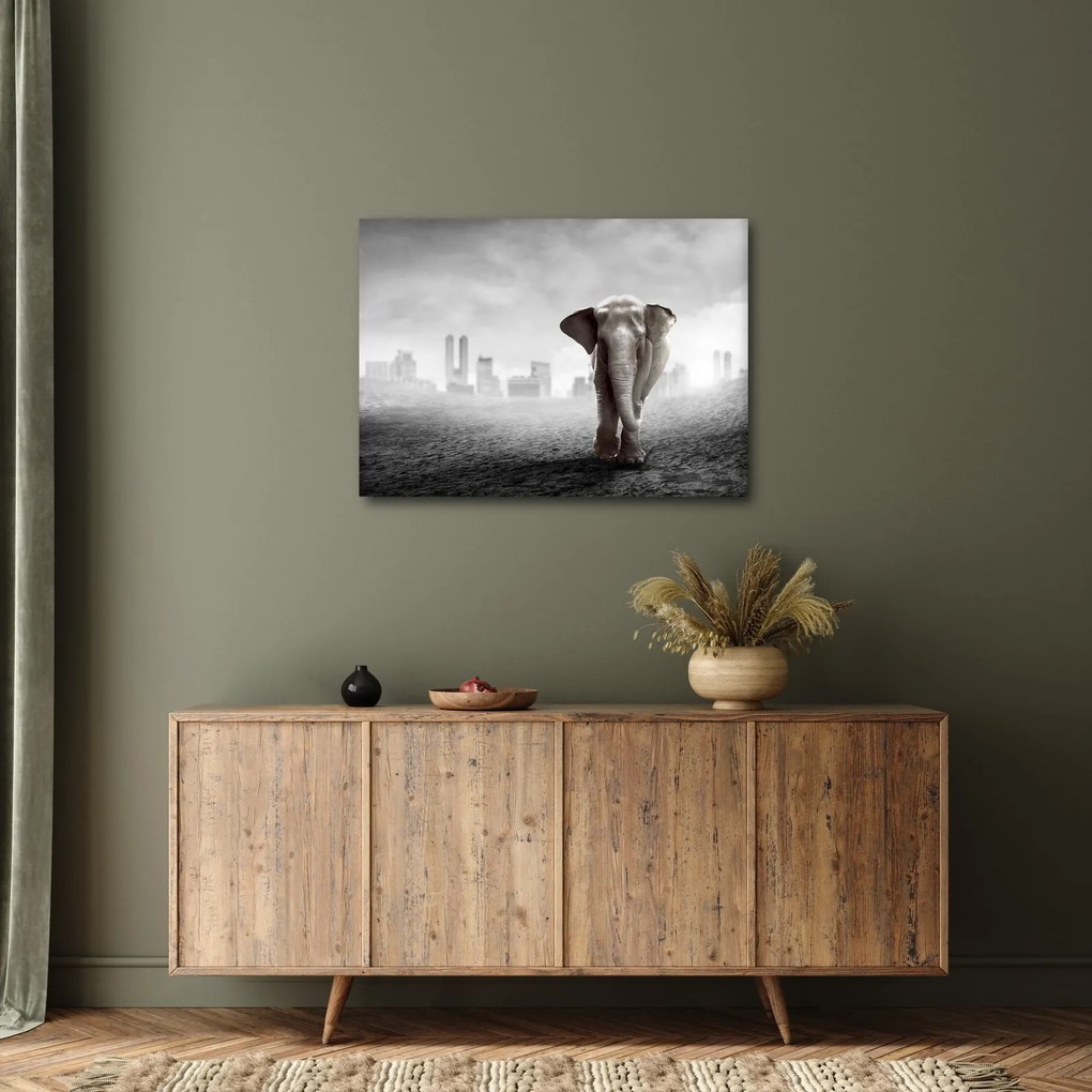 Kép -Elefánt egy nagyvárosban, fekete-fehér változat (70x50 cm)