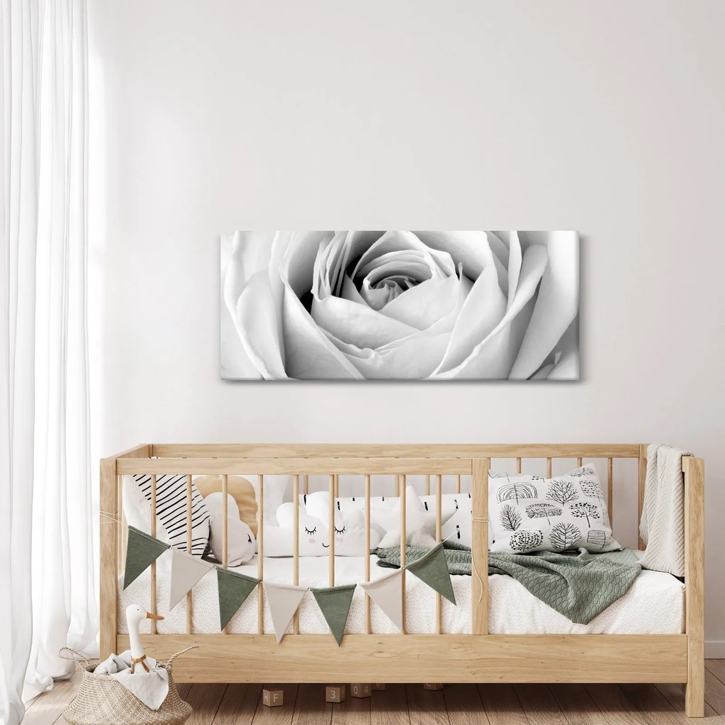 Kép - Rózsa virág részlete (120x50 cm)