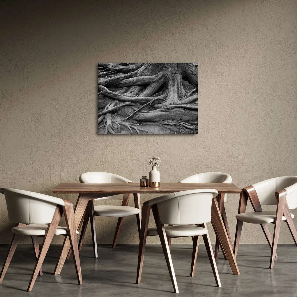 Kép - A fa gyökerei (70x50 cm)