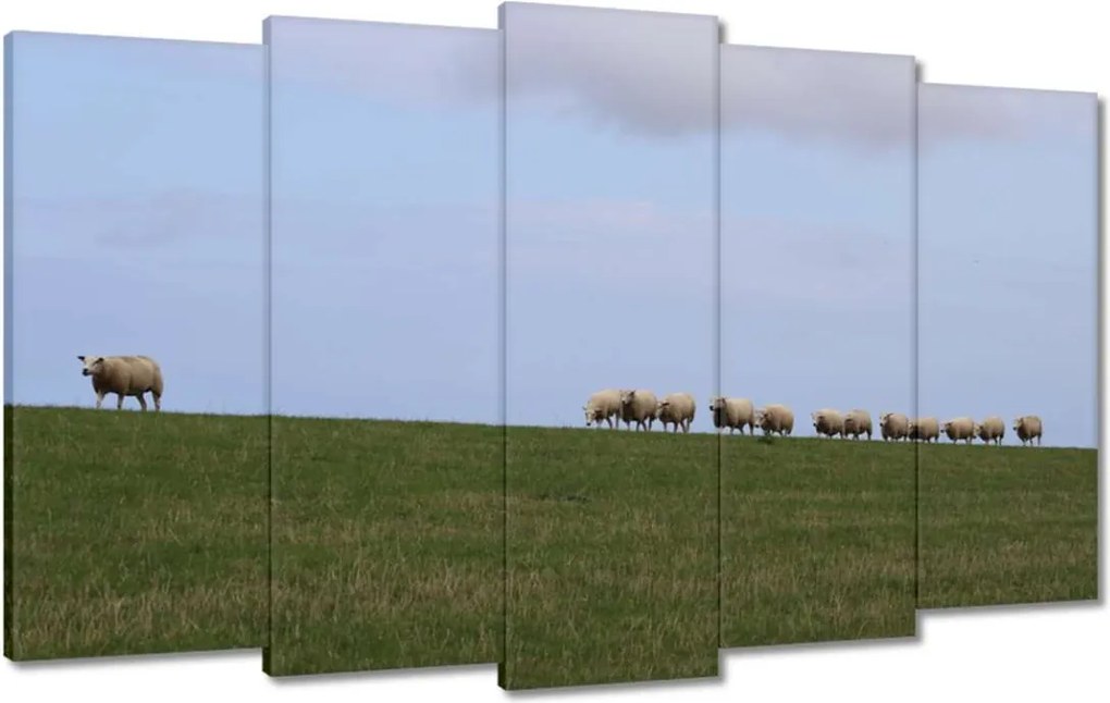 Vászonkép 100x60 Juh legeltetés Bárányok