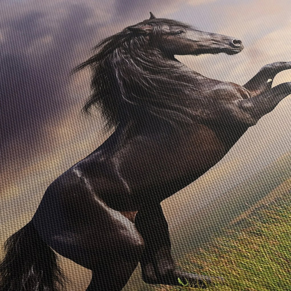 Kép - Lovak (90x60 cm)