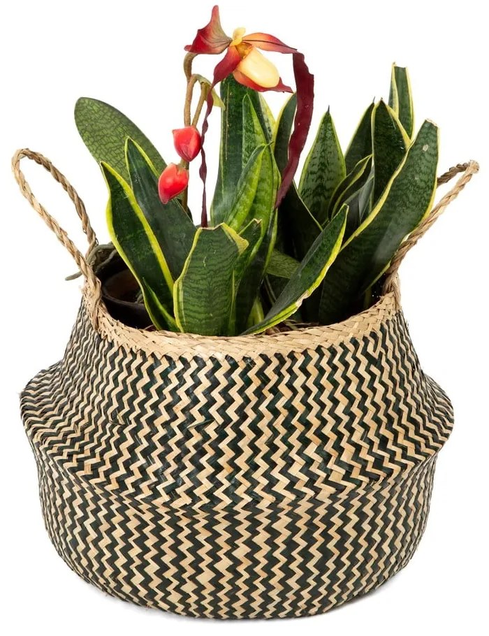 Zic Zac tengerifű tárolókosár, ⌀ 35 cm - Compactor