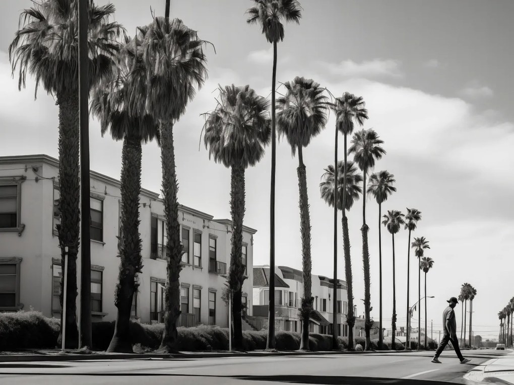 Poszter 40x30cm Séta a pálmafák árnyékában