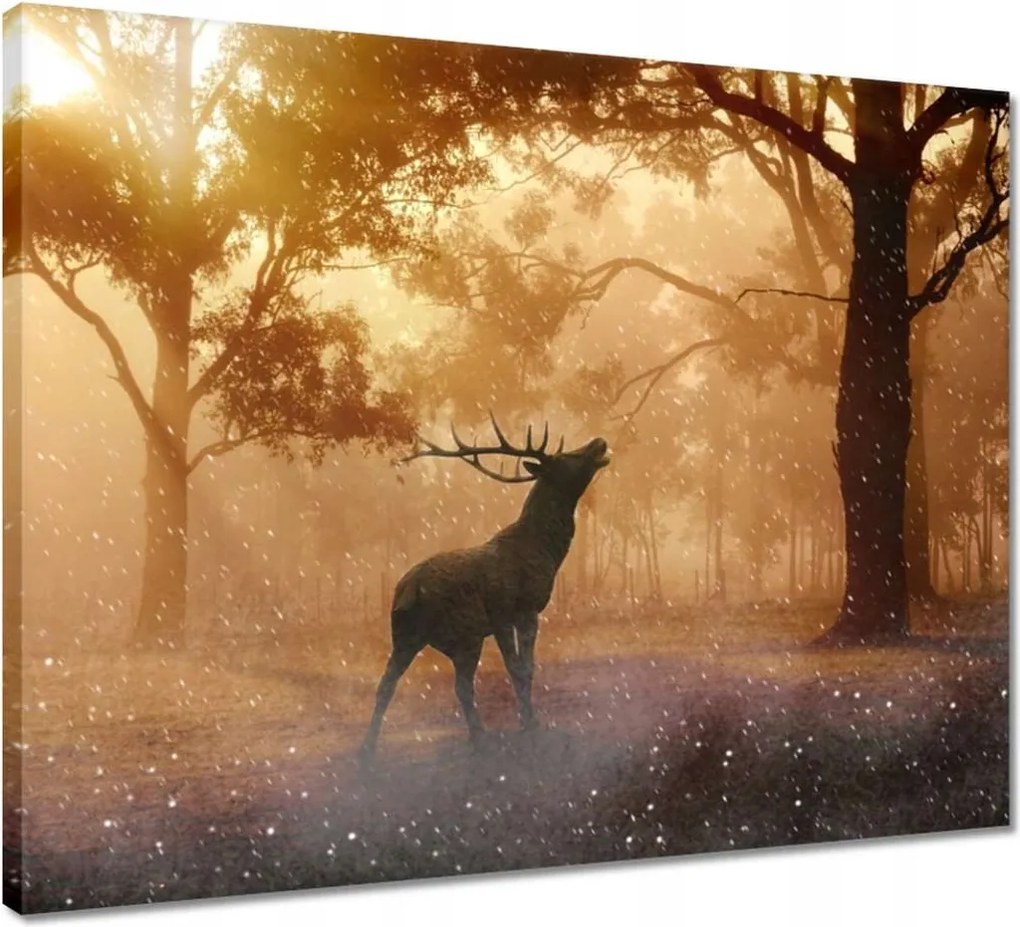 Vászonkép 50x40 Szarvas az erdőben