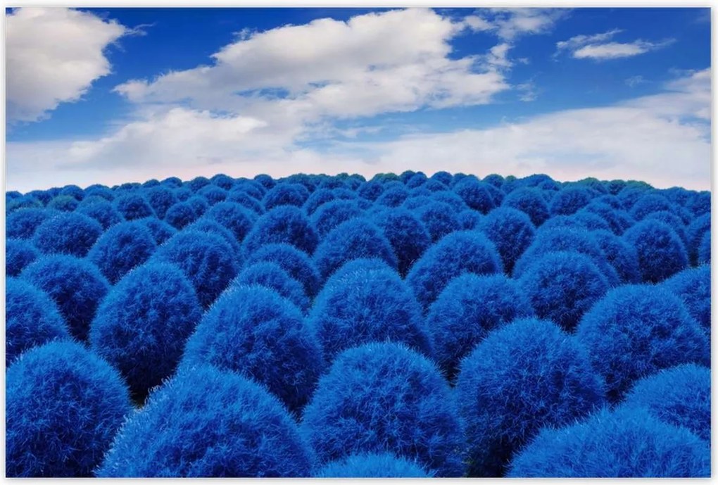 Poszterek 120x80 Klasszikus kék színben