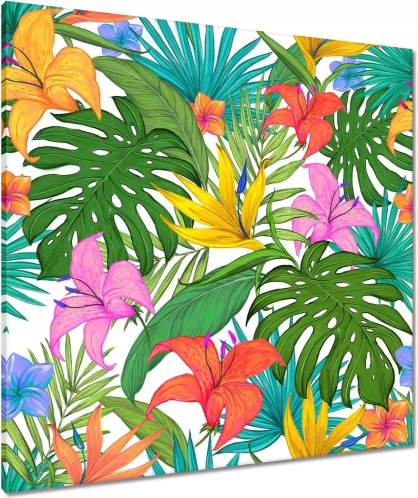 Vászonkép 80x80 Levelek Monstery Levelek