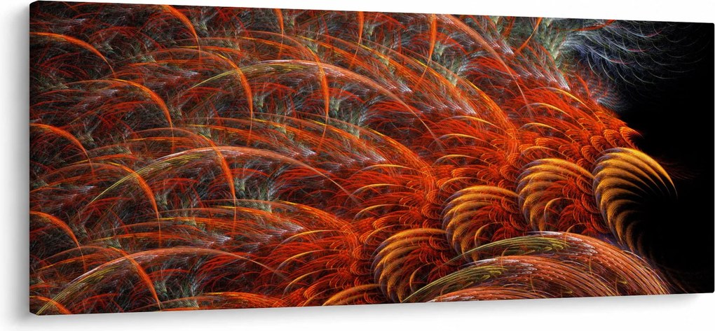 Kép - Absztrakt toll utánzat (120x50 cm)