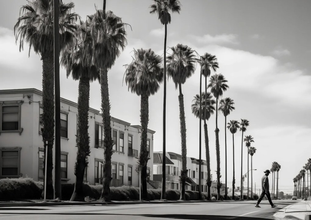 Poszter 59,4x42cm Séta a pálmafák árnyékában