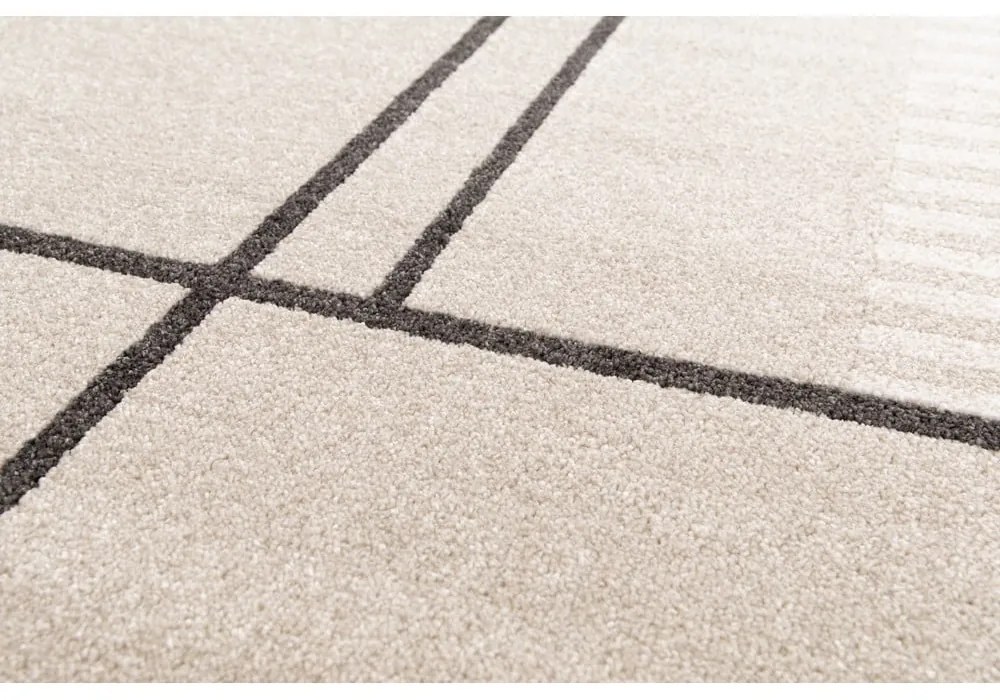 Bézs szőnyeg 80x150 cm Domus – Universal