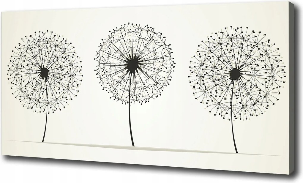 Canvas falikép Pitypangok 120x60 cm