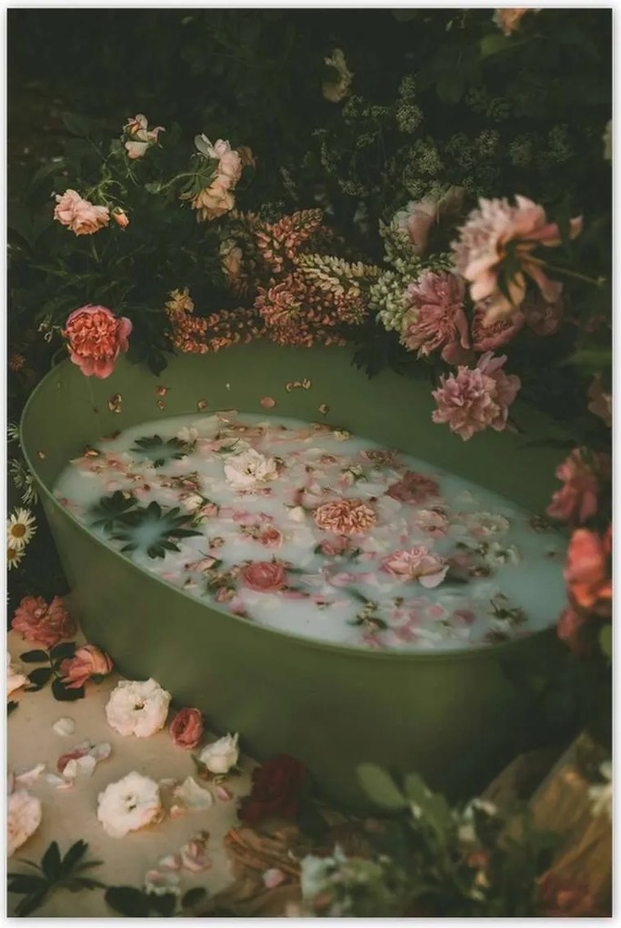 Poszterek 60x90 Tejfürdő Virágok