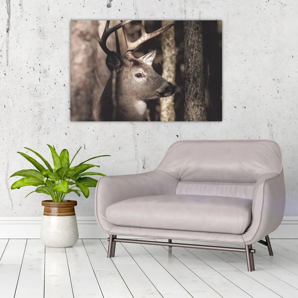 Kép - Szarvas az erdőben (90x60 cm)