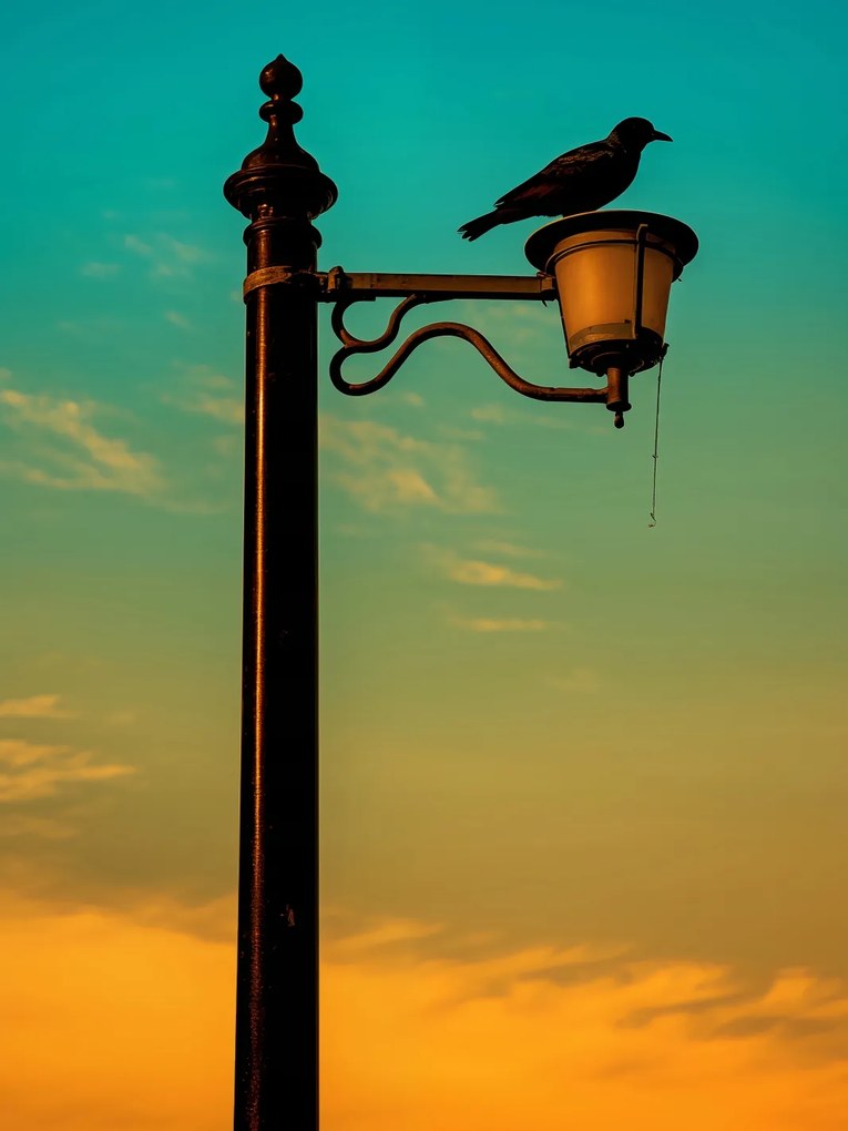 Poszter 75x100cm Nyugat a Lámpásban