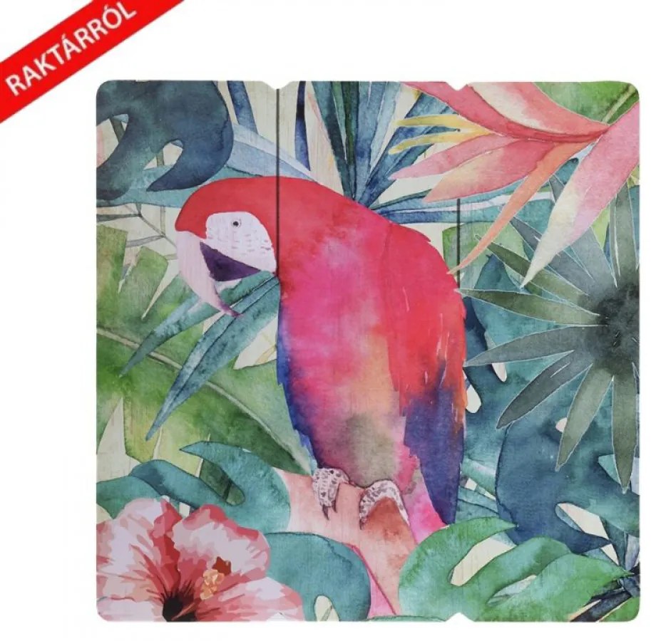 Birdie papagájos falikép 38 x 38 cm