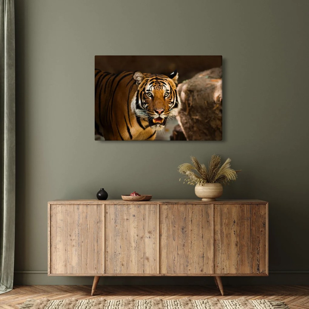 Tigris képe (90x60 cm)