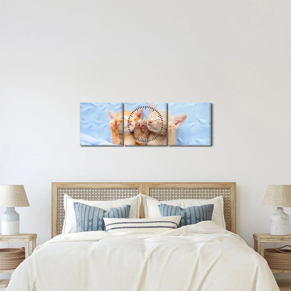 Kép - Alvó cicák (órával) (90x30 cm)