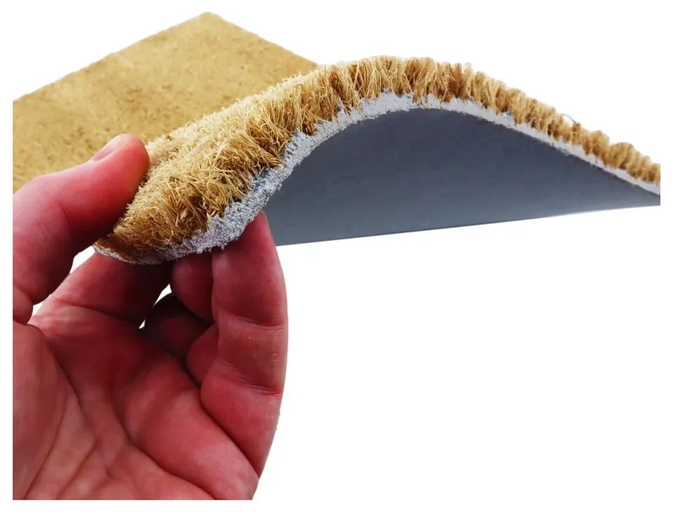 Kókuszrost lábtörlő 40x60 cm Beware I'm Cute French Bulldog – Artsy Doormats