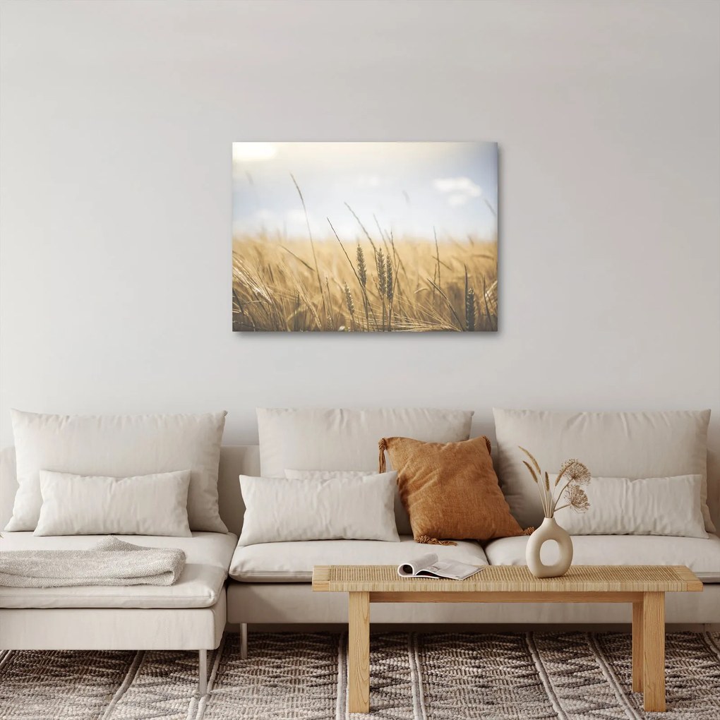 A gabona képe (70x50 cm)