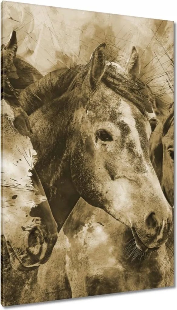 Vászonkép 80x120 Lófejek