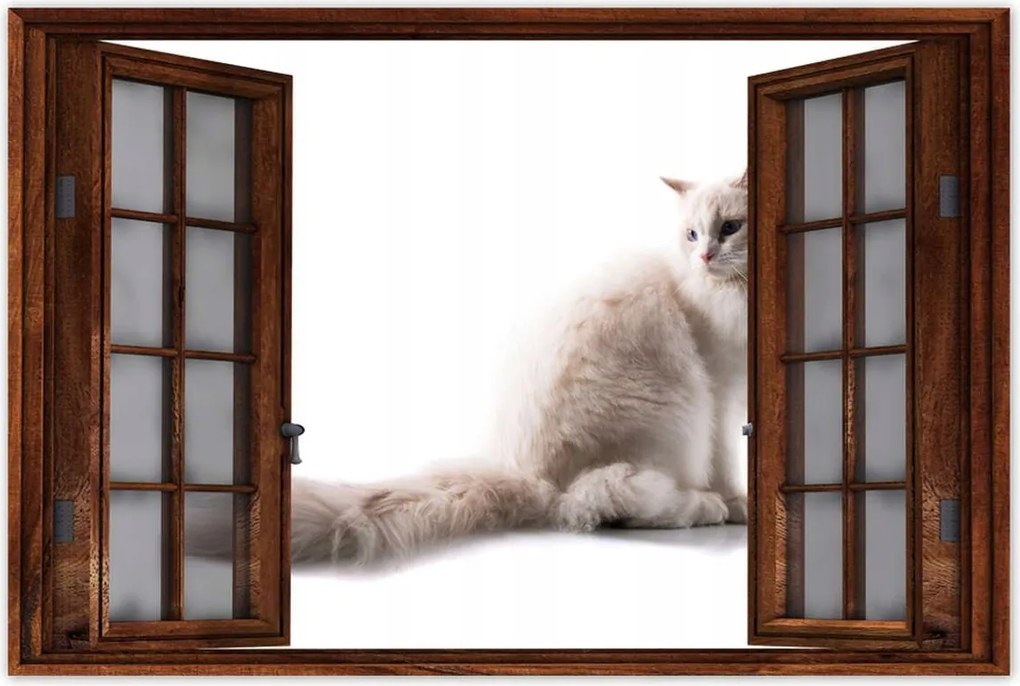 Poszterek 60x40 Cica Cicák