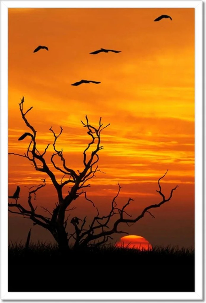 Poszterek keretben 40x60 Naplemente