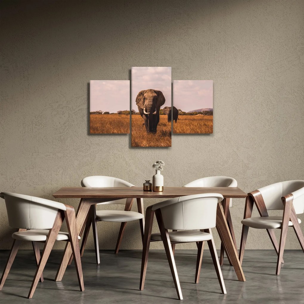 Kép - Az elefánt érkezése (90x60 cm)