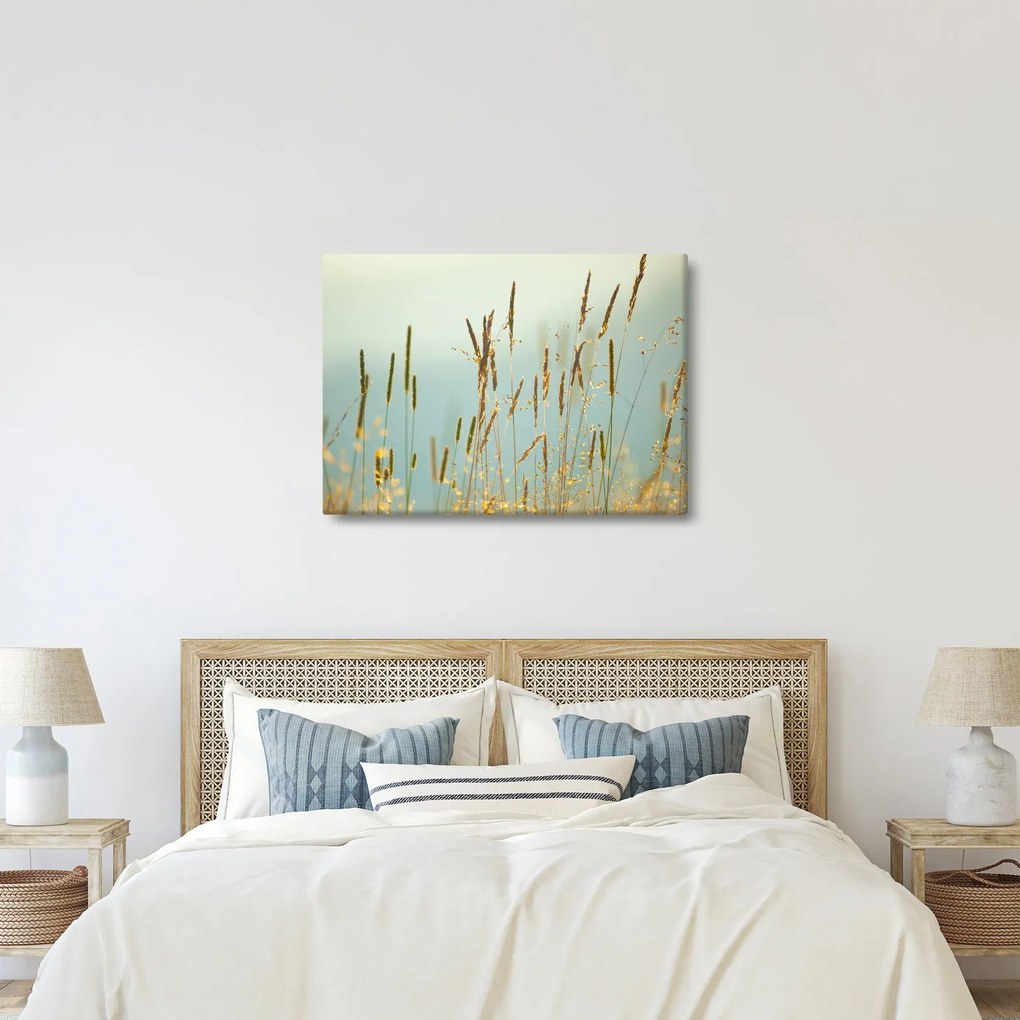 Kép - Réti pillanat (70x50 cm)