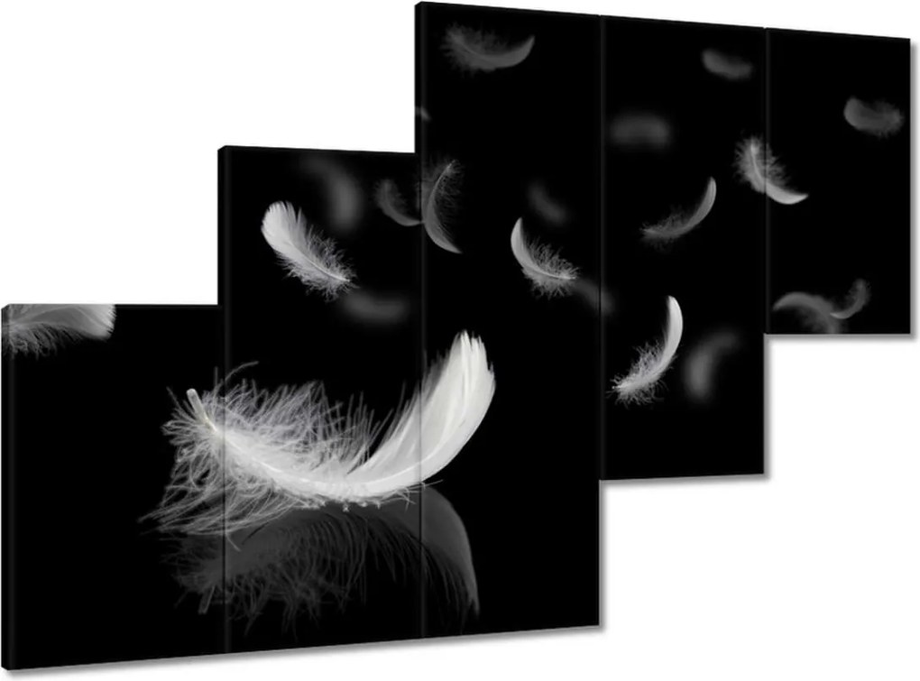 Képek 150x105 Hulló fehér tollak