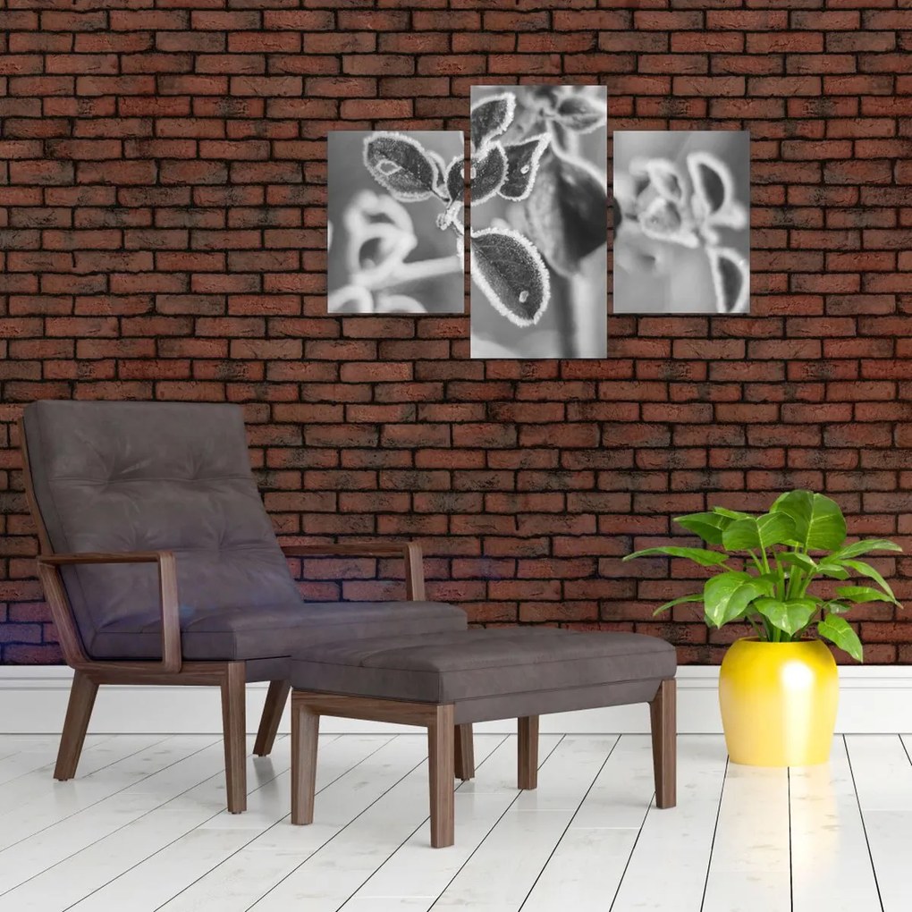 Kép - Őszi természet (90x60 cm)