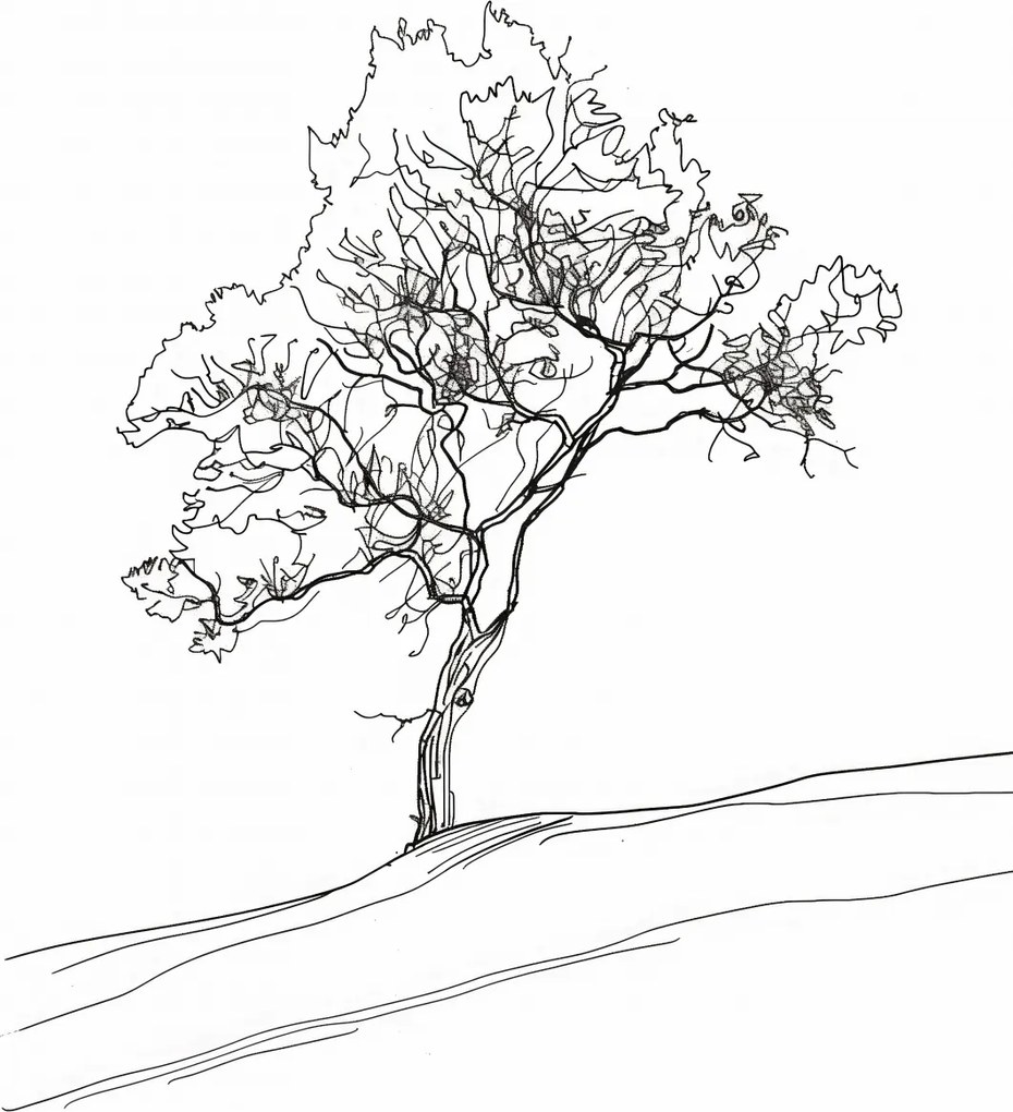 Poszter 30x40cm Fa vázlatban