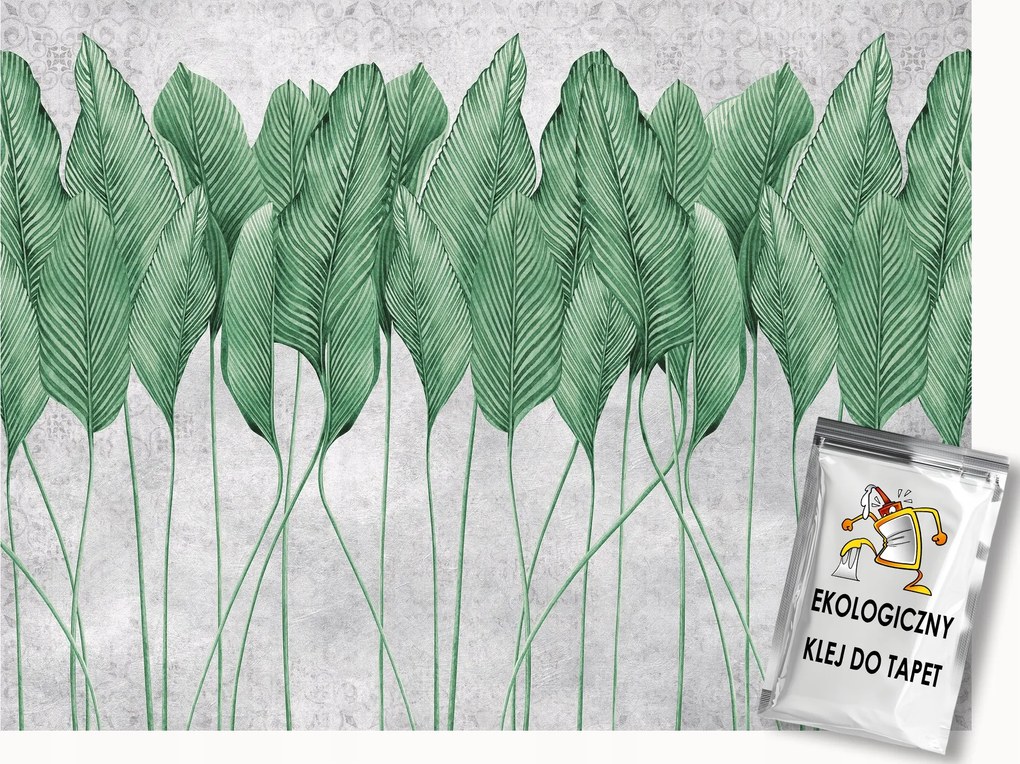 Fotótapéta Flizelina Fal Beton Utánzat Levelek Növényzet 400x280 ragasztó